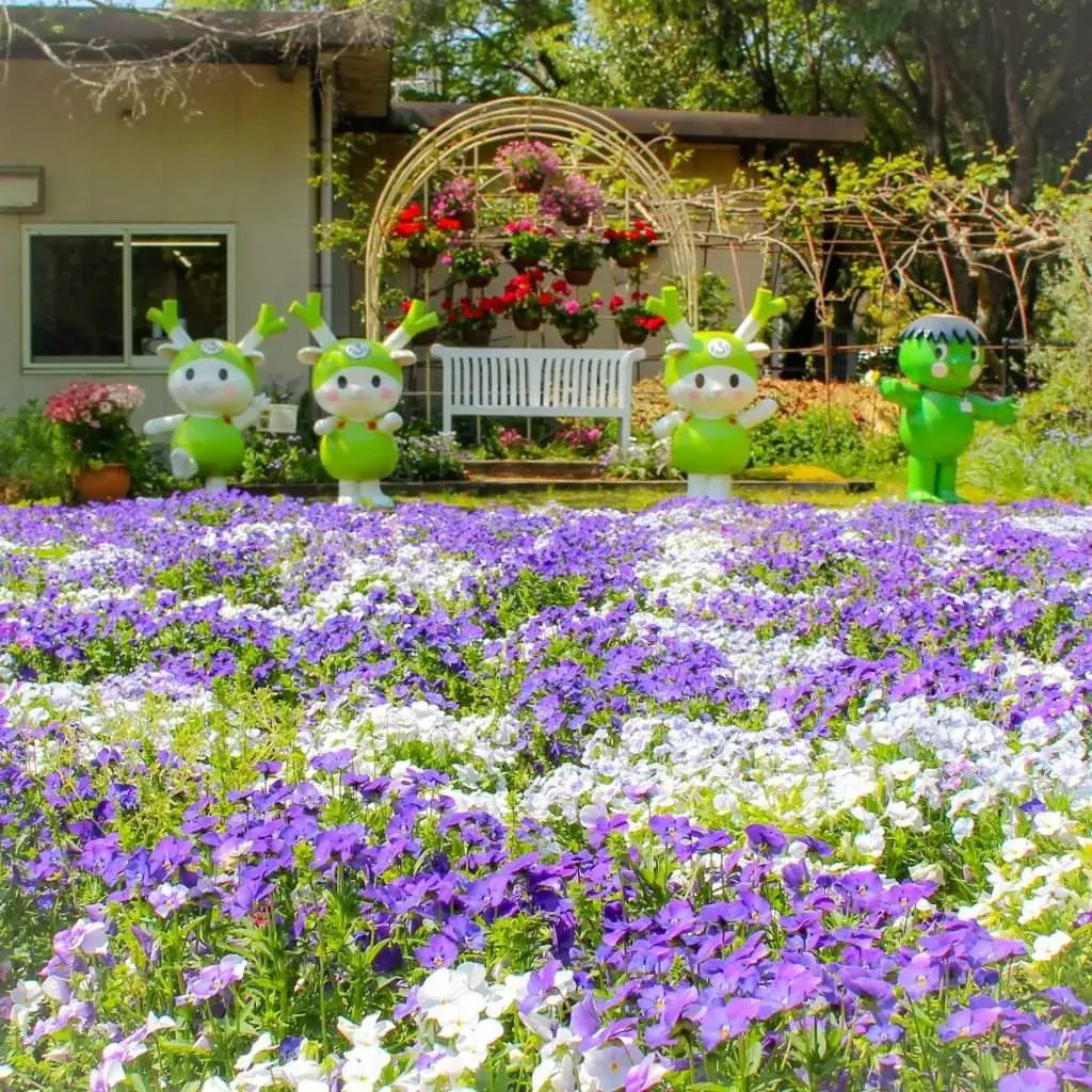 🌳 후카야 녹색 왕국(후카야 미도리노 오코쿠) 이미지 7